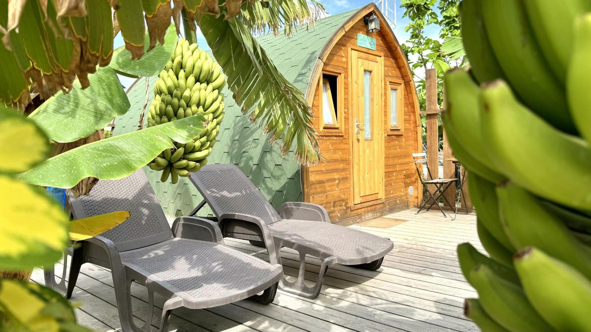 Lykke Suite Spa Sauna Piscina Y Jardin Buzanada Exterior foto